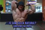 Unveiling Sam Sulek's Journey at Planet Fitness