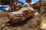 Unveiling the Enigma of Arthur Altschul: Discoveries and Insights