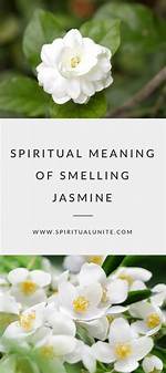Unveiling the Spiritual Guide: Who Is Jasmine Crockett's Pastor?