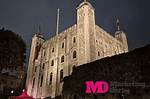 Unveiling the Towering Success of London on Da Track: Height, Impact, and Intrigue