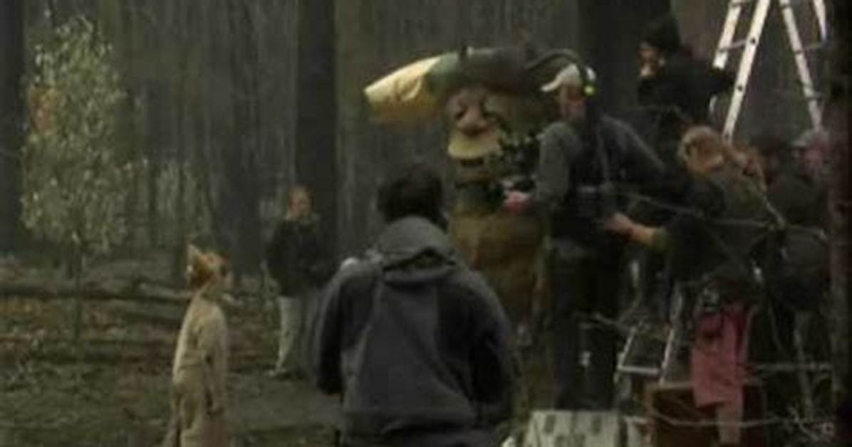 Unveiling the Wild Things Behind the Scenes
