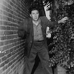 Who Is Lefty Lou Earl? Is Boxer Lefty Lou Earl Real? Kevin Harts Zero F**Ks Given, Facts to Know ·